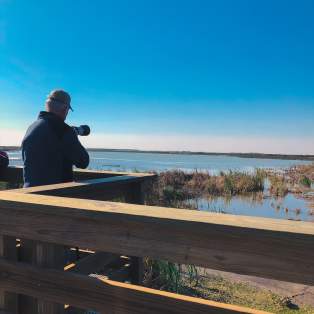 The foreground shows a slatted wooden fence. A man holding a camera stands at the fence looking out at the water and grassy marshes