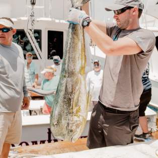 Mahi-fishing-offshore-pachanga