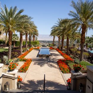 Blue sky, palm tree lined path with reflective water in middle