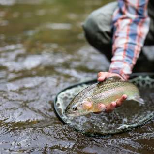 Fishing - Tuck Fly Shop
