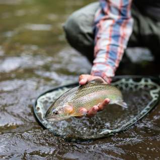 Fishing - Tuck Fly Shop