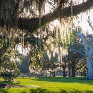 Fontainebleau State Park's ancient, moss-draped live oaks and wide open spaces