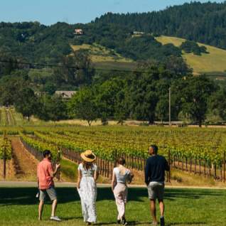 Happy friends gather on the lawn overlooking the vineyard at Chateau St. Jean in Kenwood, Sonoma Valley