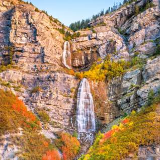bridal veil