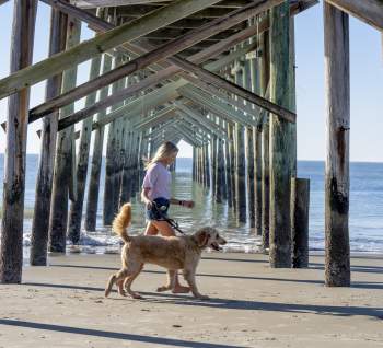 a young woman walking a goodendoodle under a pier