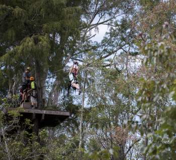 A person zips down a cable at The Swamp Park in Ocean Isle Beach, surrounded by lush green trees and others watching from the platform below.