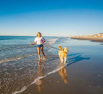 woman and dog on beach