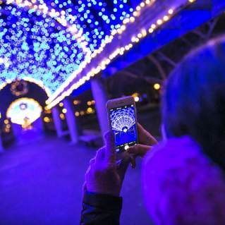 Trellis at Christopher Columbus Park lit for the Holiday Season