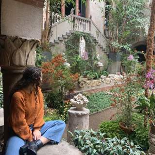 Person looking at the  Isabella Stewart Gardner Museum's garden