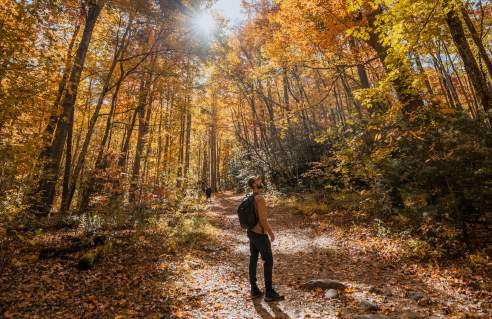 hiking in fall great smoky mountains