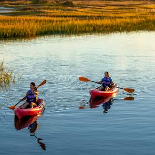 Relaxing Things to Do Beyond the Beach in NC’s Brunswick Islands