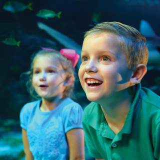 Kids enjoying SEA LIFE Grapevine Aquarium at Grapevine Mills in Grapevine, Texas