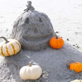 What To Do in NC's Brunswick Islands This Weekend