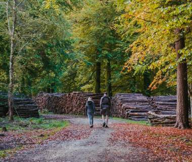 Colourful Autumn Walks Blog