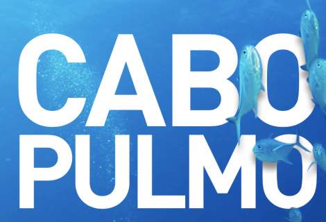 Cabo Pulmo Responsible Tourist Guide