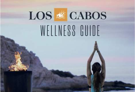 Wellness Guide