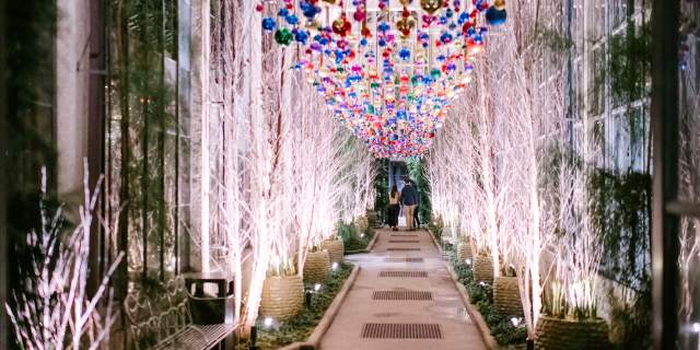 lwg christmas conserv.