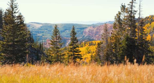 Fall Color at Cedar Breaks National Monument