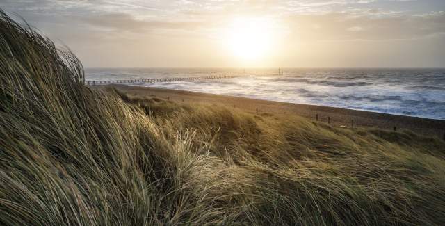 sand dunes at West Beach Littlehampton