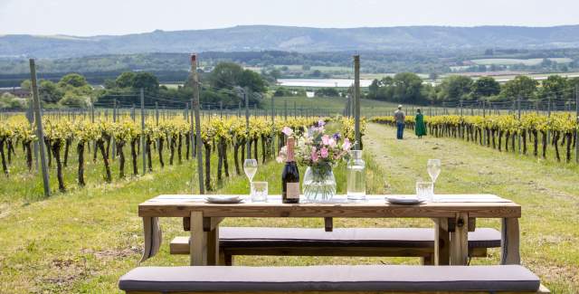 A bottle of English sparkling wine and flowers on a picnic bench at Roebuck Estate vineyard, with vines in the distance