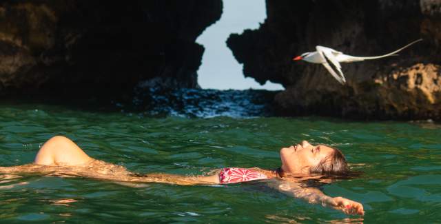 Woman swimming a bird flies very close to her. In the background you can see the vegetation of Isla Pajaro