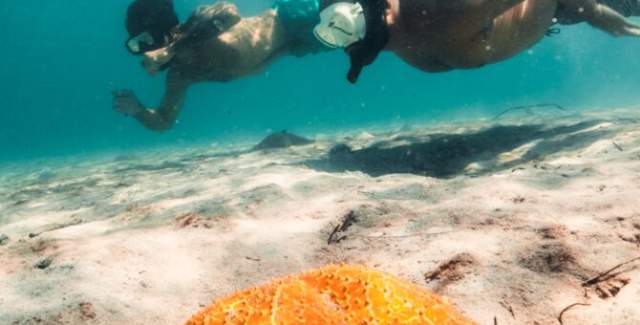 Snorkeling, Estrella Beach Colón Island Bocas del Toro province