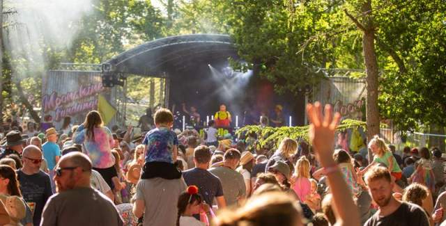 Elderflower Fields Festival