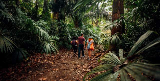 Hiking - Gamboa