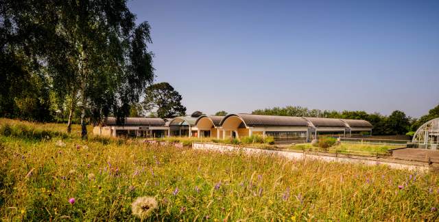 A grassy meadow with a view of the buildings of the Millenium Seed bank, Wakehurst