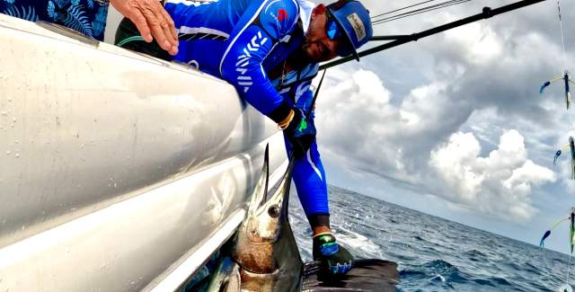 The image shows a group of fishermen on a boat reeling in a large fish. The fish is partially visible in the water, and it appears to be a marlin or a sailfish. The fishermen are working together to bring the fish onto the boat.