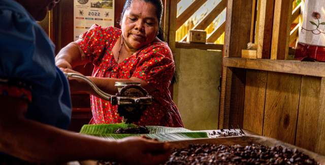 Cacao Bocas del Toro