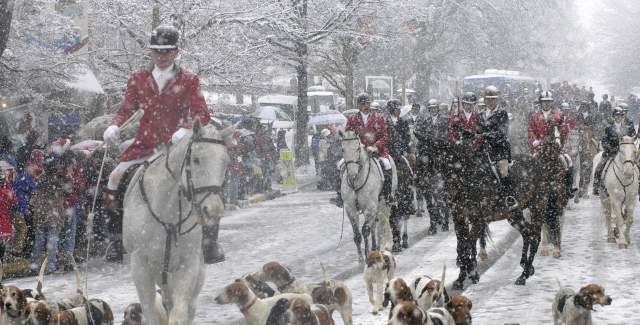 Winter parade with riders on horseback and hounds during a Loudoun County event