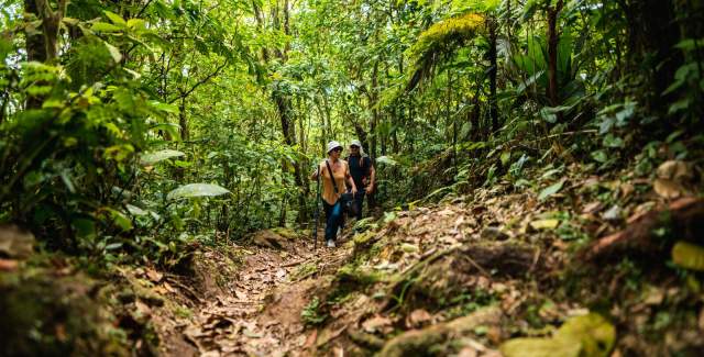 Two friends hike together through the forest trail in Cerro Gaital.