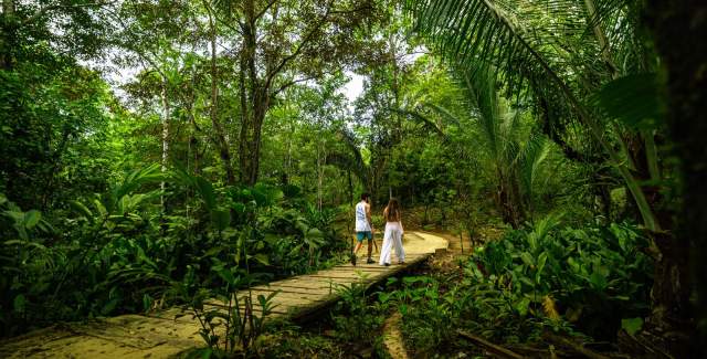 Couple walking on a wood bridge at Red Frog Island