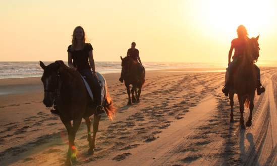 Outer Banks Horse Riding | Equine | Riding on the beach during sunrise