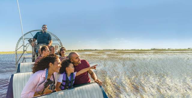 everglades