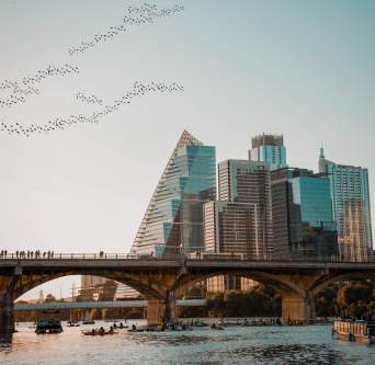 Austin city skyline with birds flying over a bridge at Lady Bird Lake
