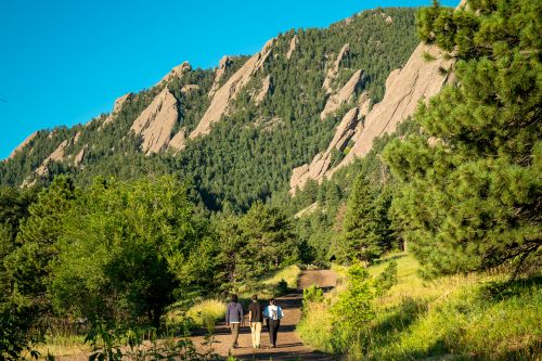 Group hiking with wildflowers at Chautauqua with Flatirons