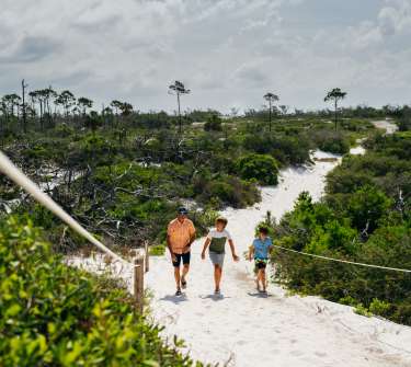 A family hiking the dunes in T.H. Stone Memorial St. Joseph Peninsula State Park
