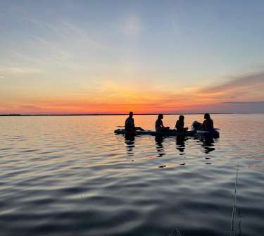 four people sitting on a paddleboards at sunset