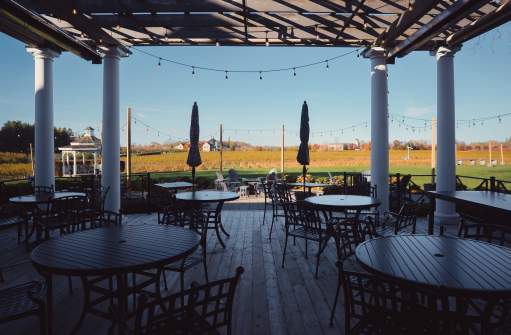 Patio backing onto vineyards