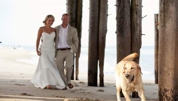 Marriage License Info