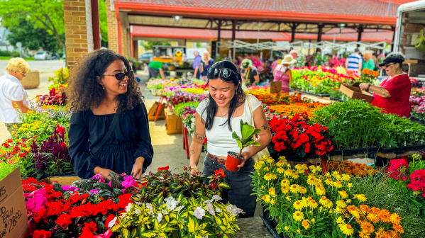 Farmers Market - West Allis Farmers Market 2