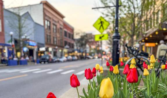 Ann Arbor Girls' Weekend: A 72-Hour Itinerary for Women 40+