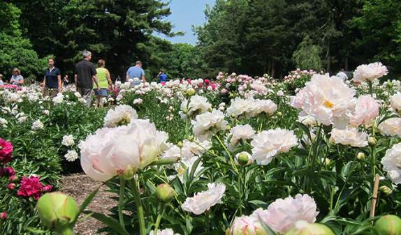 Matthaei Botanical Garden
