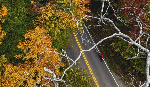 A fall day on the Burlington Bike Path