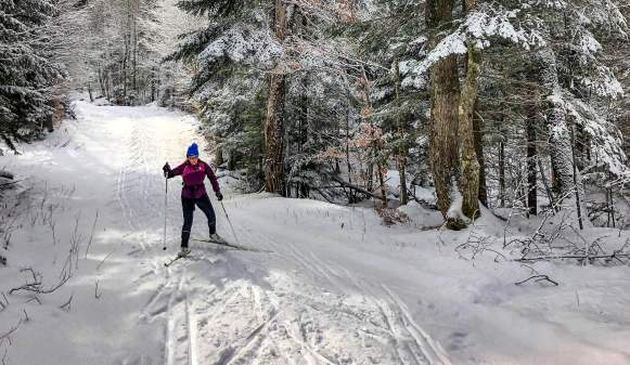 cross country skier, nordic skier, in the winter forest