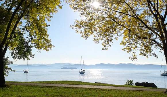Sailboats on the lake