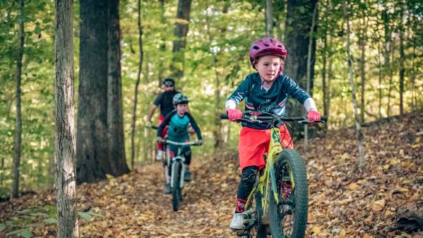 a family on bikes