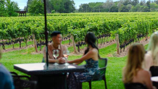 Couple dining at a vineyard patio